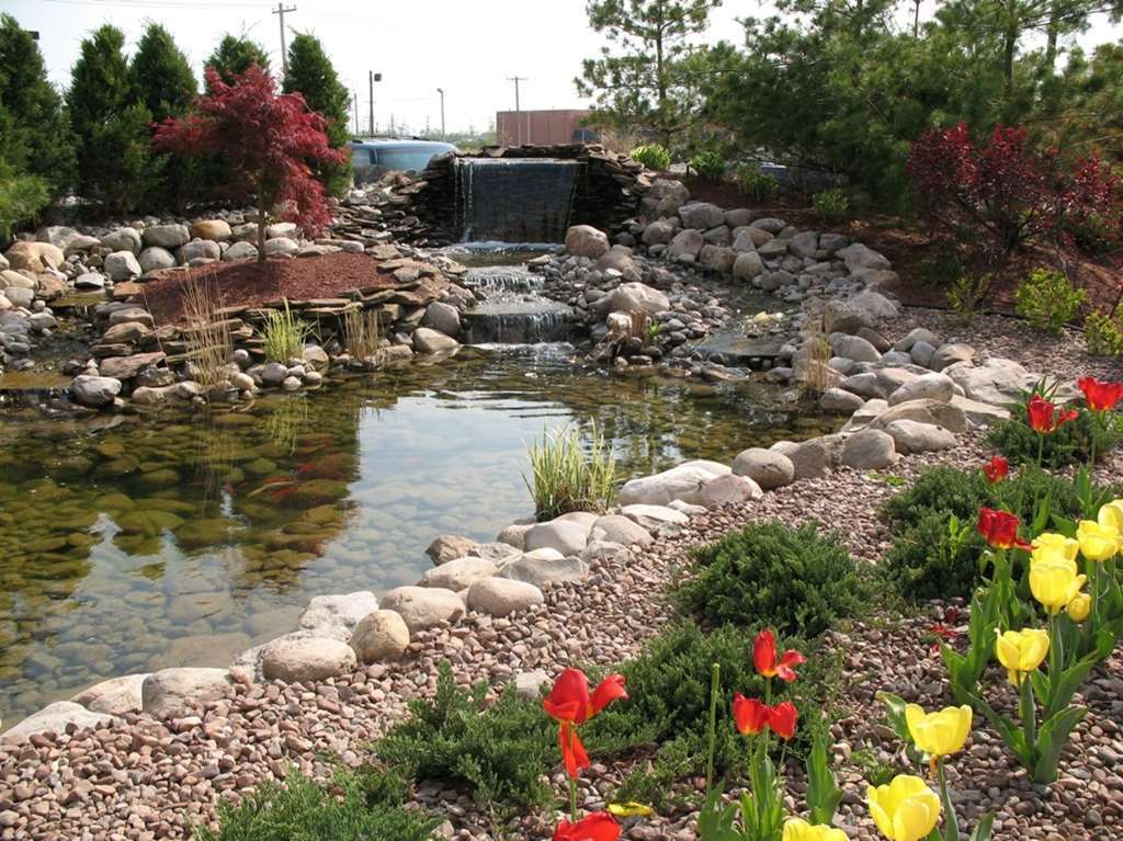 Hilton Garden Inn Buffalo Airport Cheektowaga Esterno foto